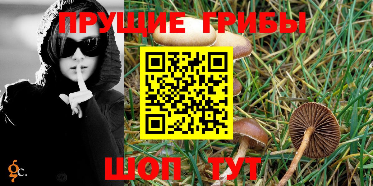 Королёв  Галлюциногенные грибы ЛСД  Псилоцибиновые грибы Magic Shrooms  Вход с VPN 